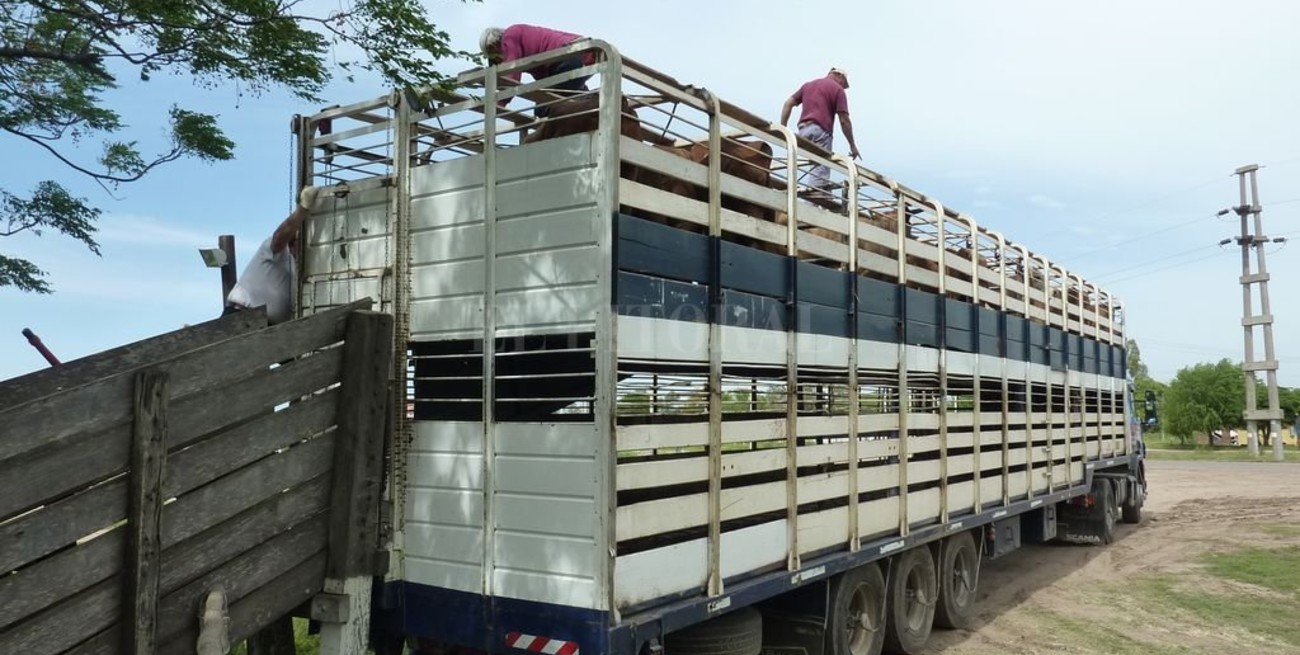 El transporte de hacienda se encareció un 68 %
