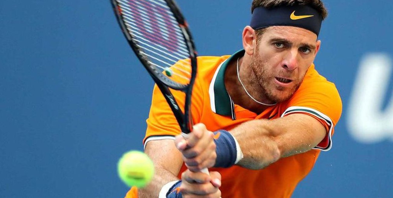 Del Potro vuelve a jugar