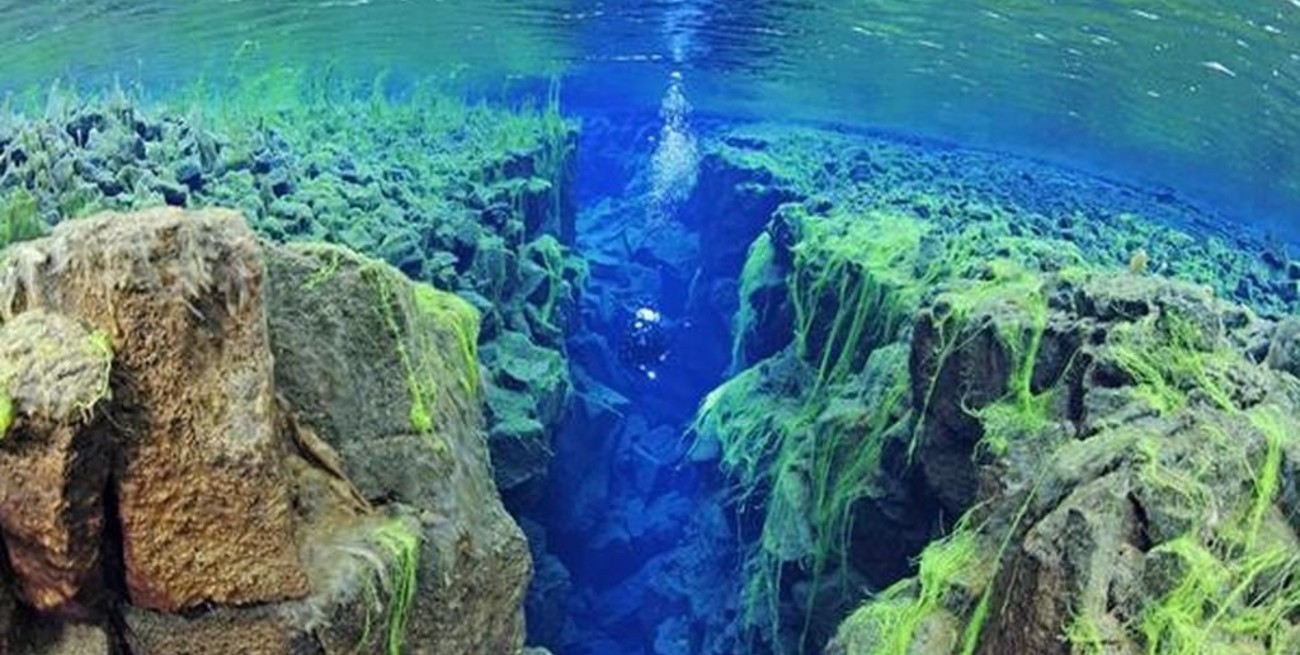 Descubrieron un "pasaje subterráneo" que conecta las Galápagos con Panamá