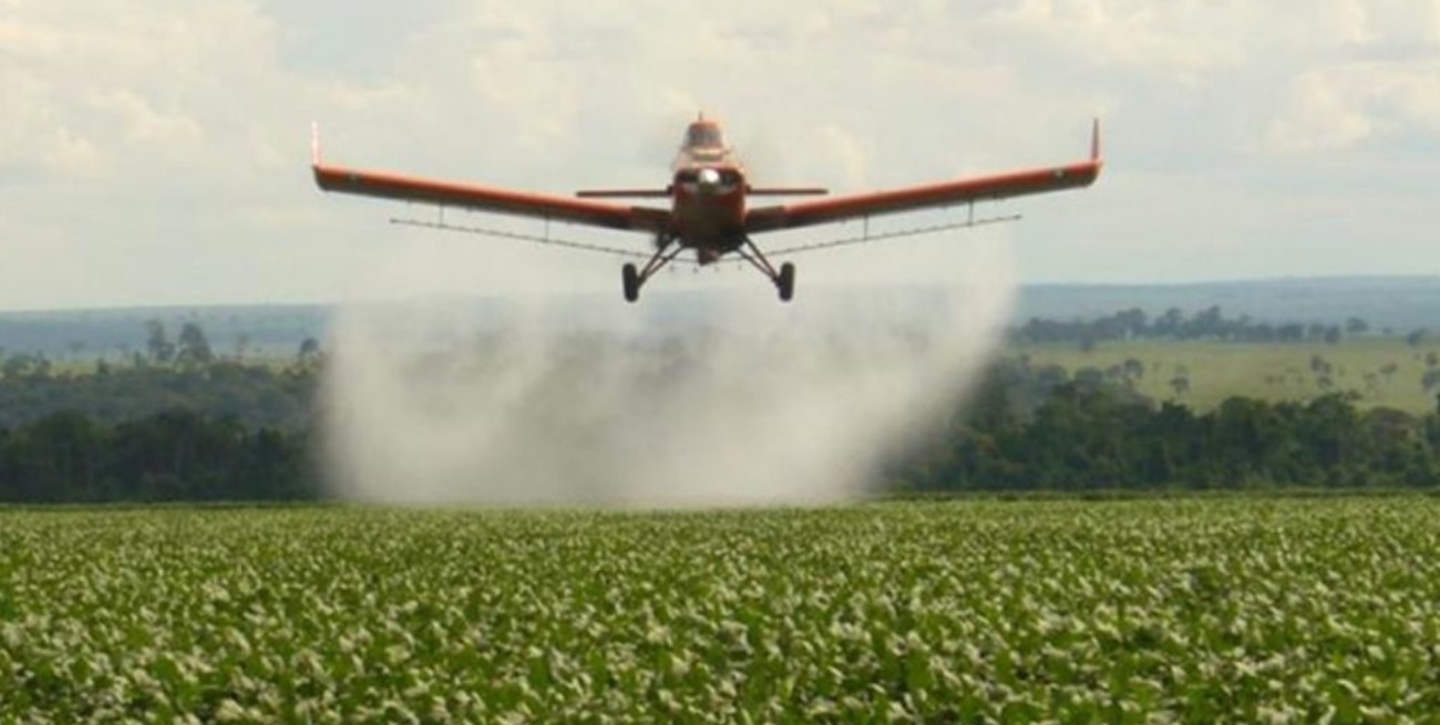 Histórico fallo judicial en Santa Fe: limitan las fumigaciones agrícolas cerca de zonas urbanas
