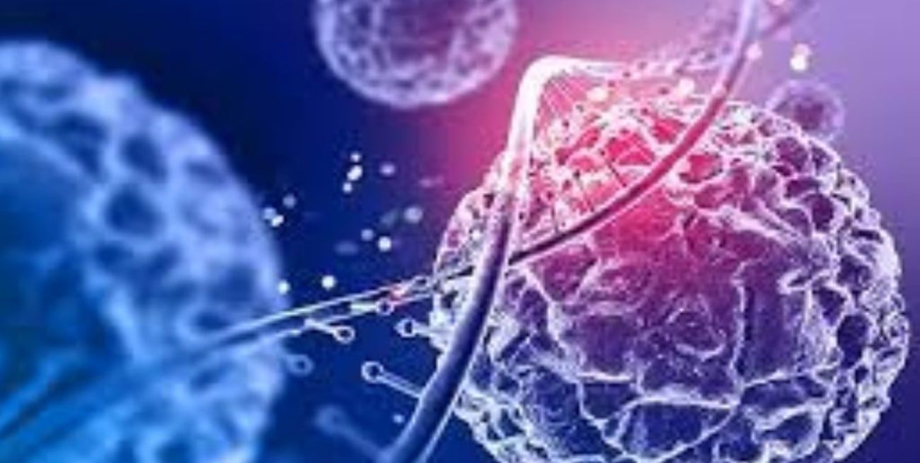 Envejecimiento celular: un complejo enzimático podría detenerlo 