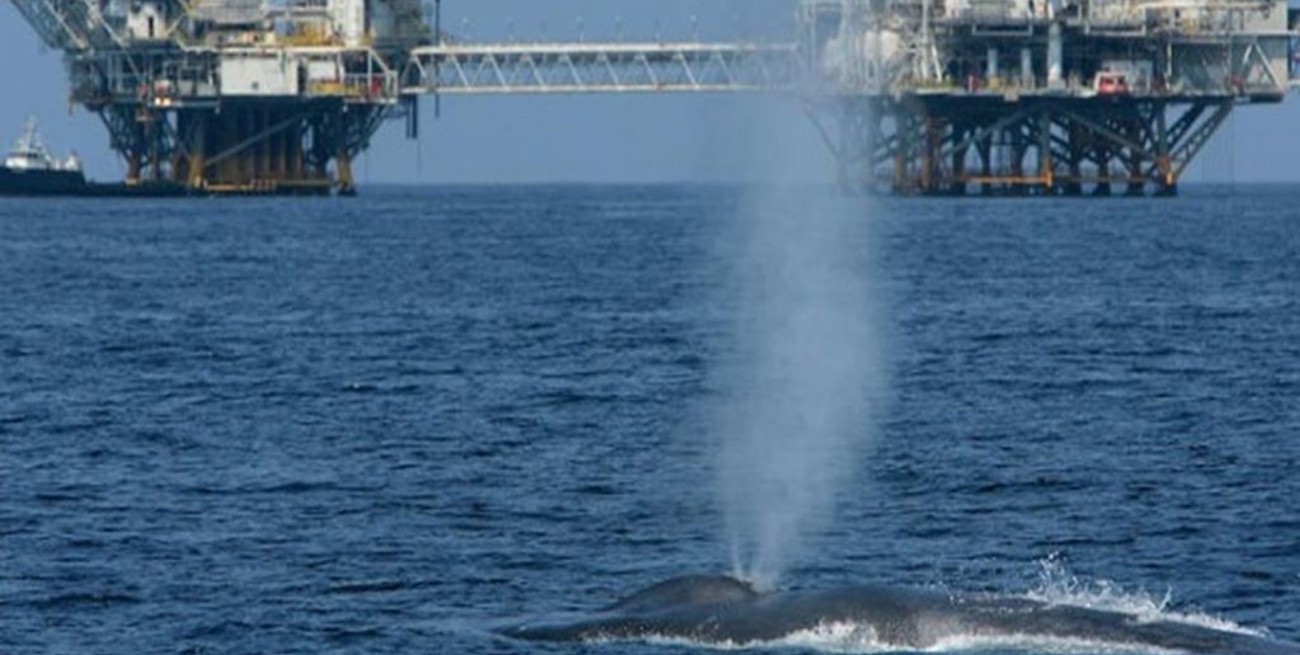 El gobierno argentino apelará en favor de la exploración petrolera en el mar