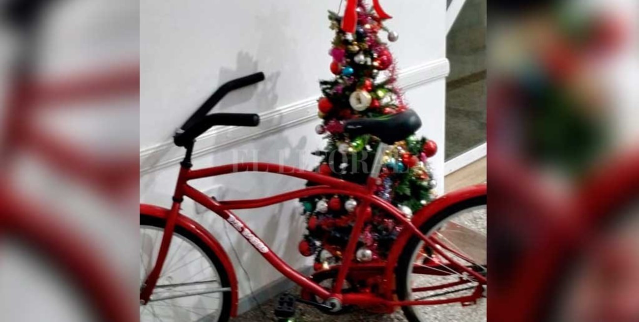 Robaron una bici, la policía la recuperó y la puso en el arbolito