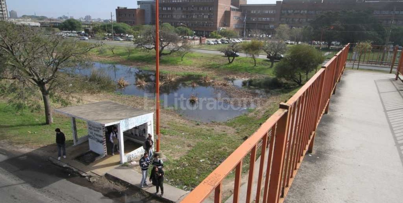 Colectivos no ingresan a la ciudad universitaria
