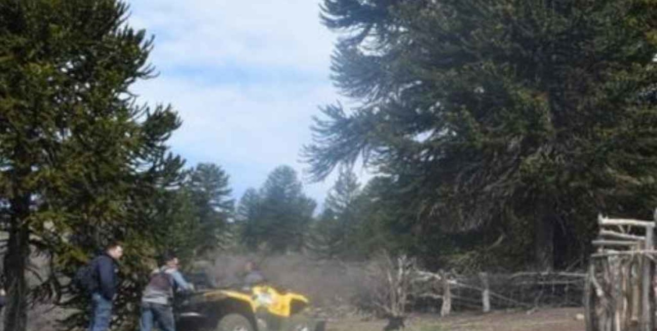 Neuquén: era ermitaño, no sabía hablar, vivía en la montaña y lo mataron a puñaladas
