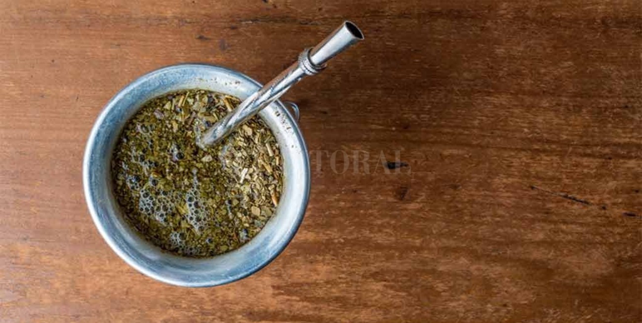 El mate tendría un efecto preventivo sobre el desarrollo de la enfermedad del Parkinson