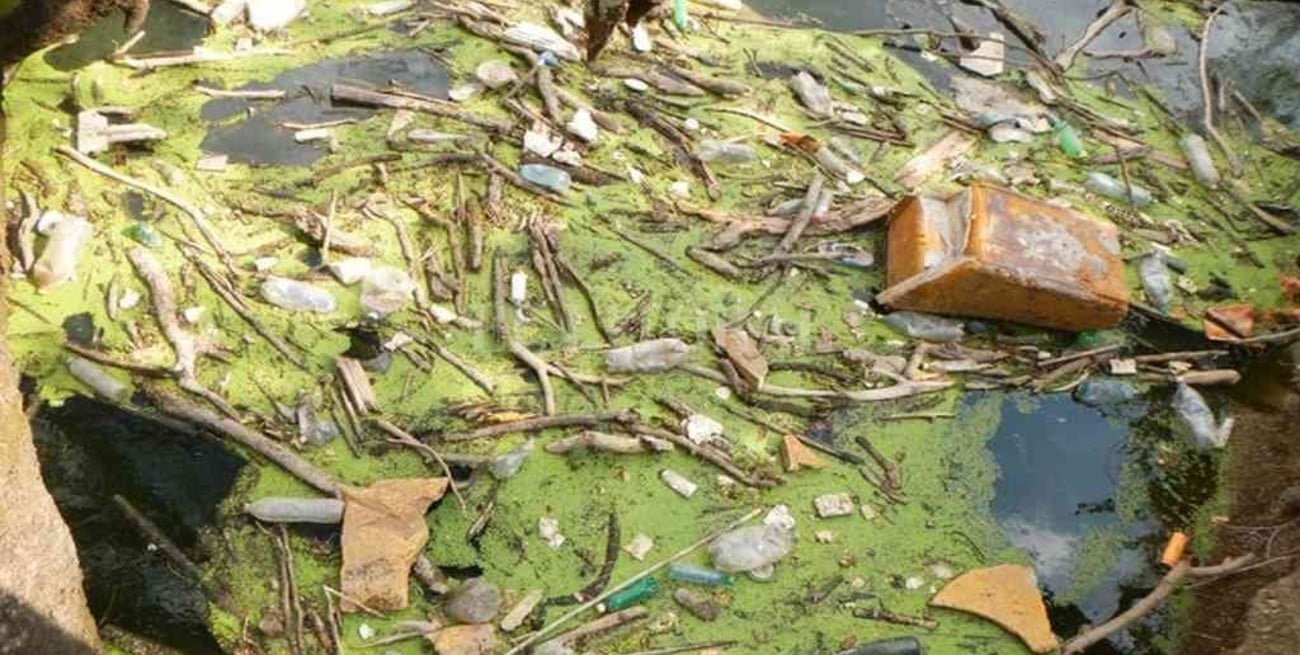 Contaminación ambiental: una iniciativa ciudadana promueve la limpieza del arroyo Cululú