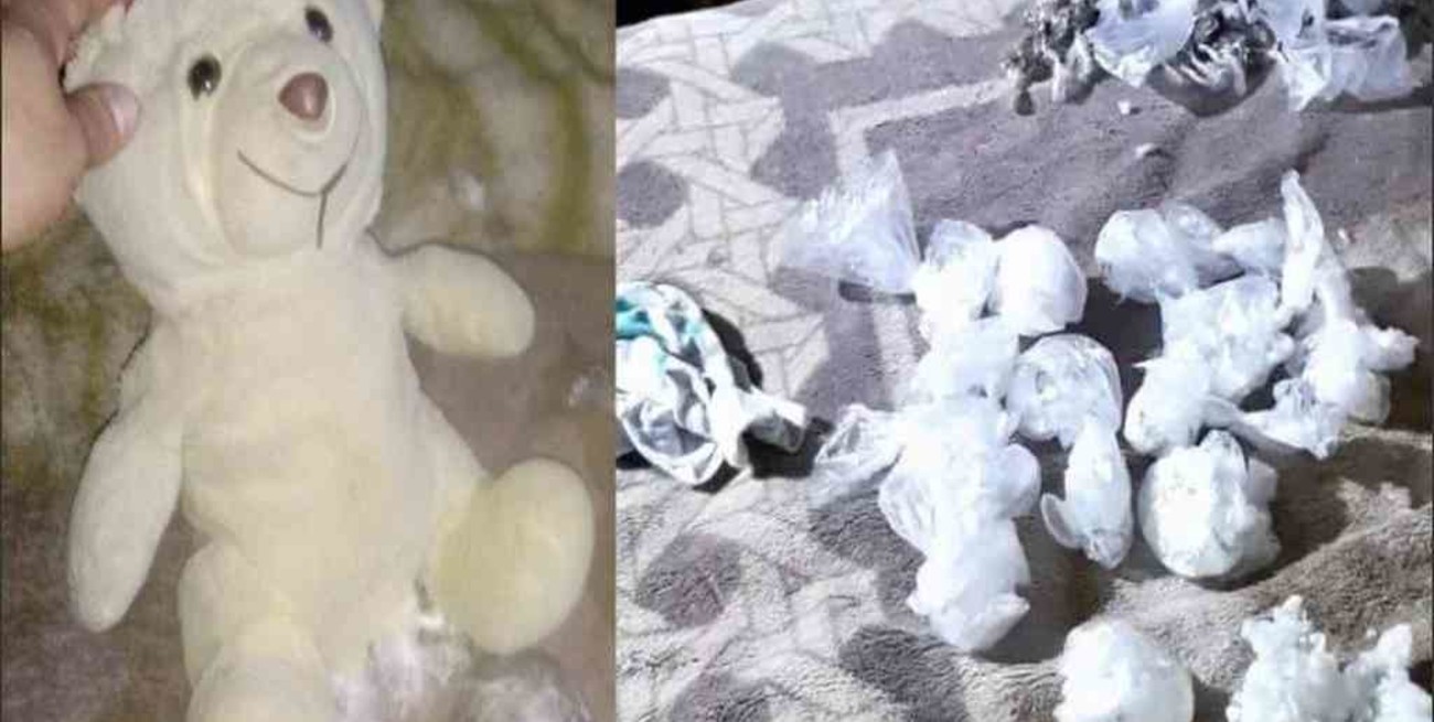 Guardaban droga en un oso de peluche y cayeron detenidos
