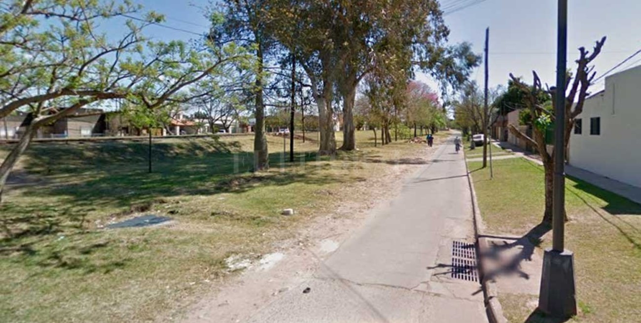 Ladrones en los techos terminaron detenidos