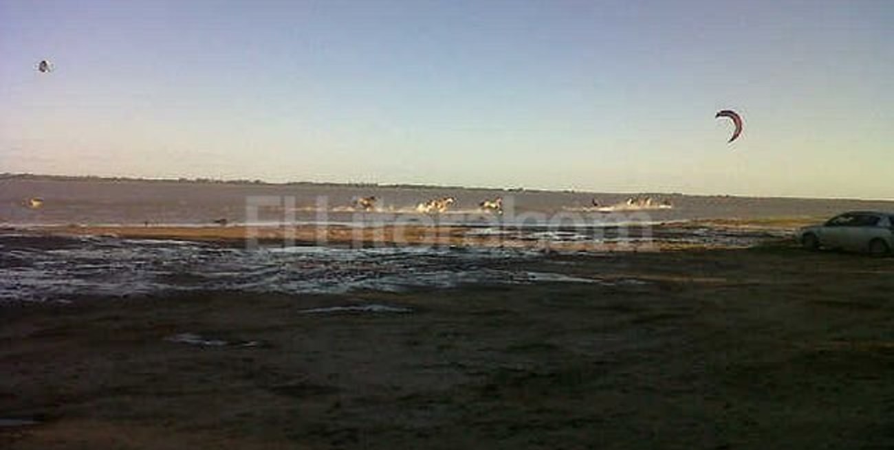 Arrea la tropilla con un kite surf