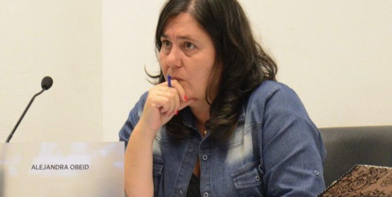 Obeid: "Es grave la situación del dengue en Santa Fe"