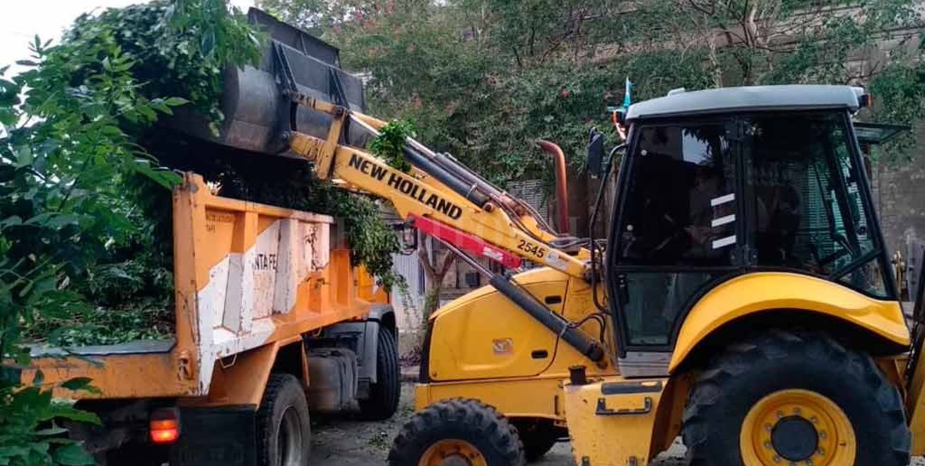 25 cuadrillas del municipio retiran árboles, ramas y postes caídos