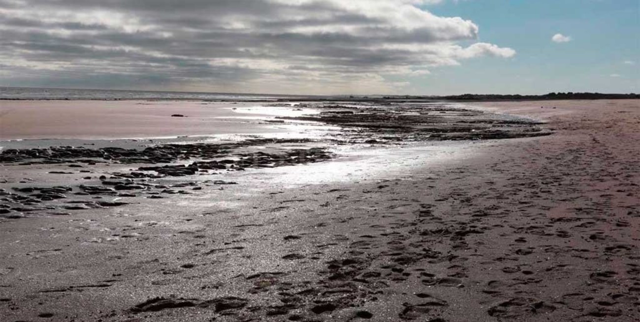 Turistas hallaron restos fósiles en la playa de Monte Hermoso