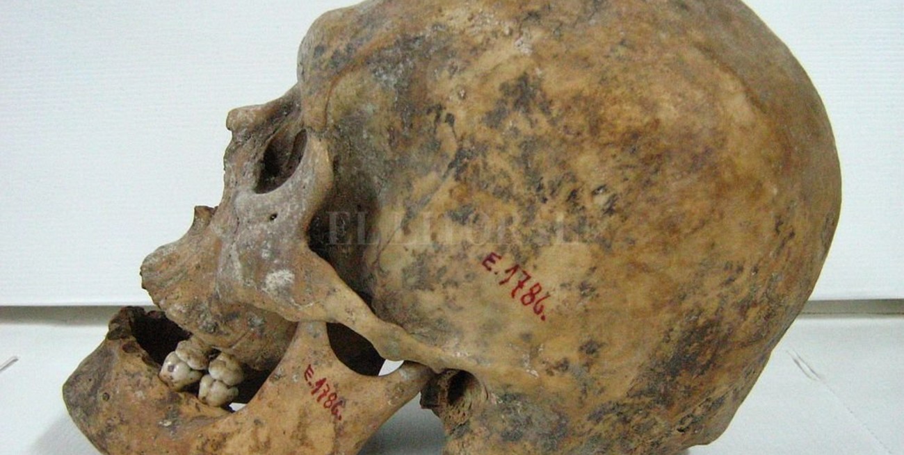 Restituirán el esqueleto de un mapuche asesinado en el siglo XIX por robar un poncho