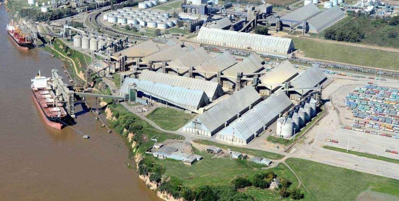 Récord exportador para los aceites argentinos en un mercado internacional con alta demanda