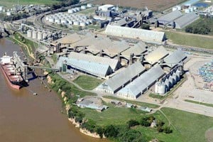 Aceites vegetales en máximos históricos: el nuevo motor de las exportaciones argentinas