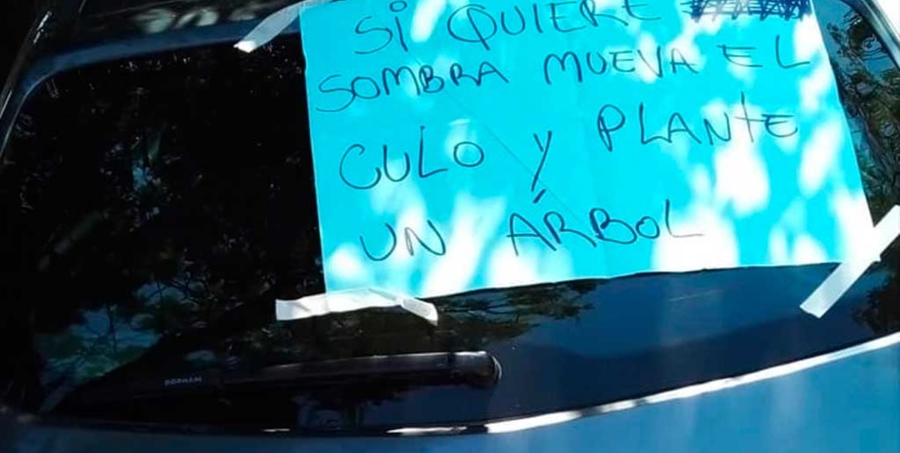 Estacioná donde quieras: "Querés sombra, plantá un árbol"