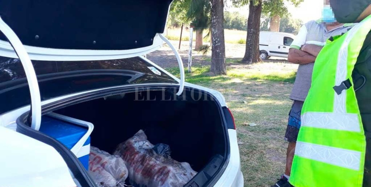 Incautan 8 kilos de cocaína escondidos en bolsas de papa