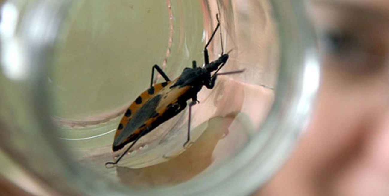 Del Chagas a la Ivermectina