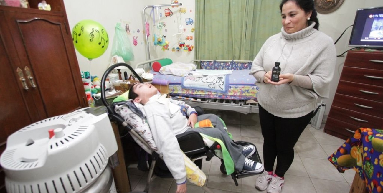 Salud analiza cómo elaborar y proveer cannabis medicinal