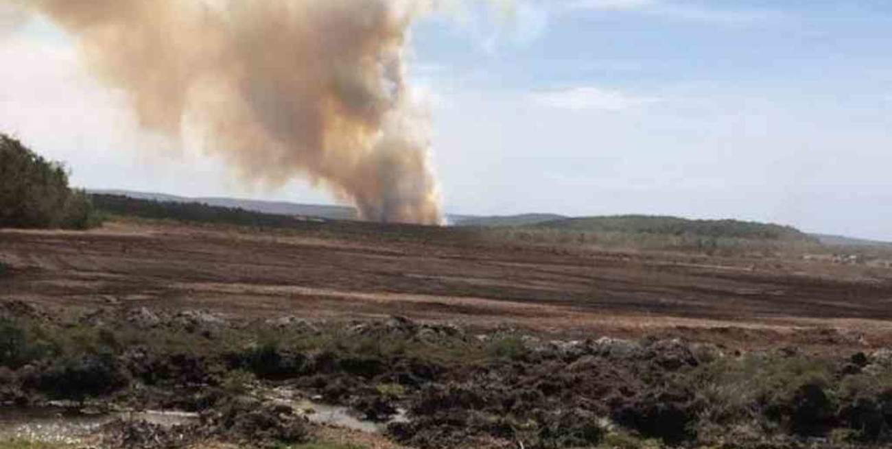 Un incendio forestal afectó 131 hectáreas en Tierra del Fuego