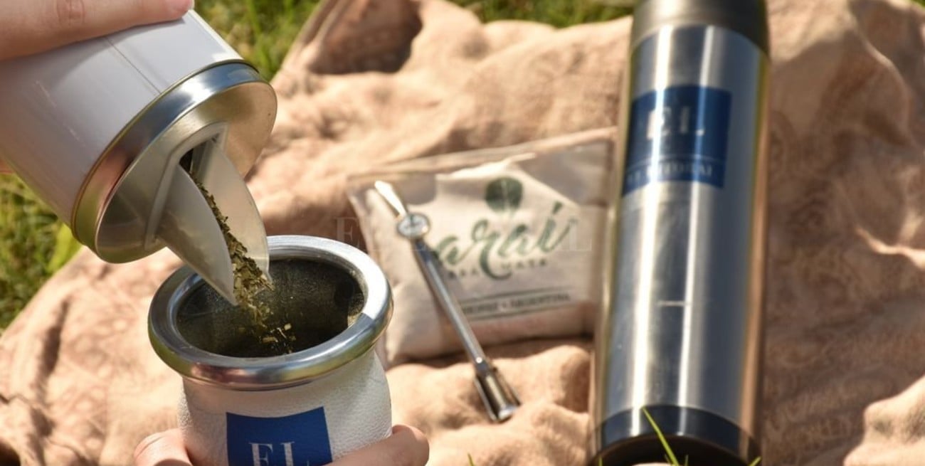 Del arbusto a tu mesa: ¿Cómo es el proceso productivo de la yerba mate?