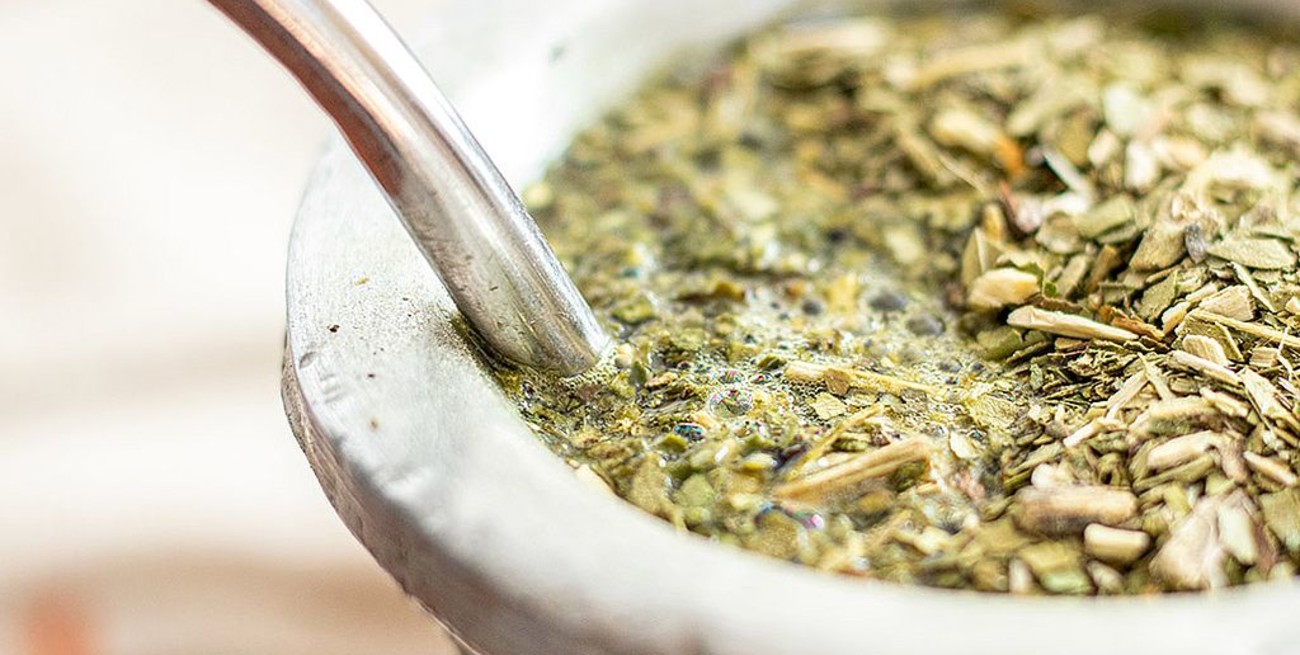 Estudios científicos confirmaron que tomar mate disminuye riesgo de contraer Parkinson