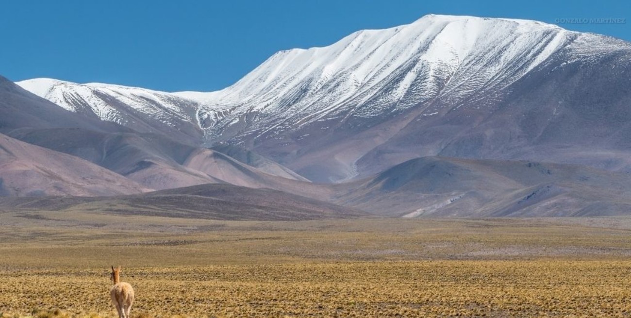 Los dos turistas franceses extraviados en Catamarca fueron encontrados con vida 