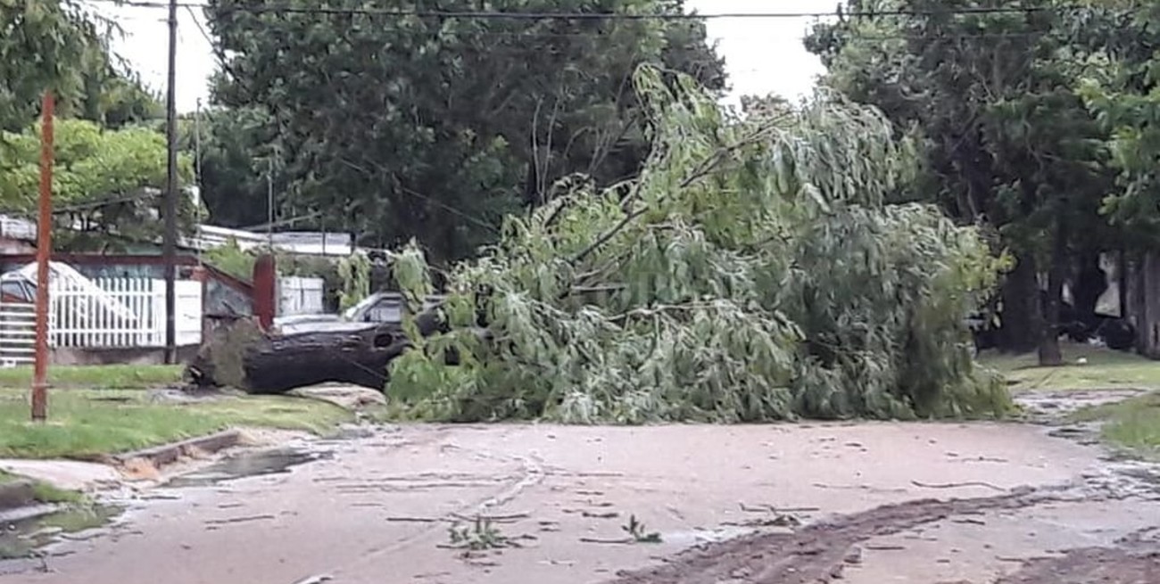 Una fuerte tormenta afectó a San Javier