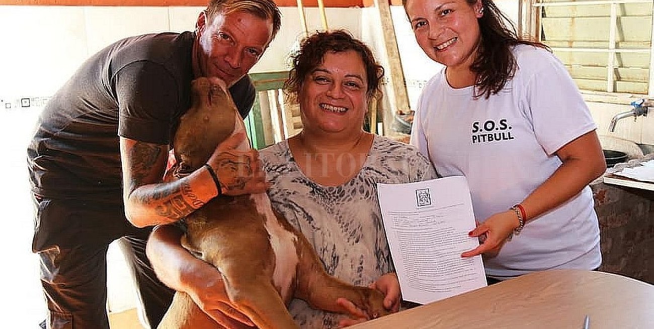 Adoptaron a Bruno, el perro abandonado en un vagón de tren