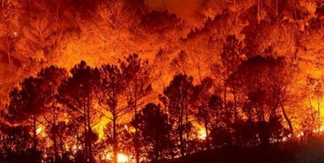 Chubut: continúan los incendios forestales y ya hay más de 77 mil hectáreas quemadas