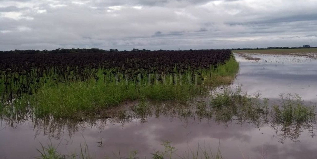 La superficie inundada en Santa Fe es de 3 millones de hectáreas