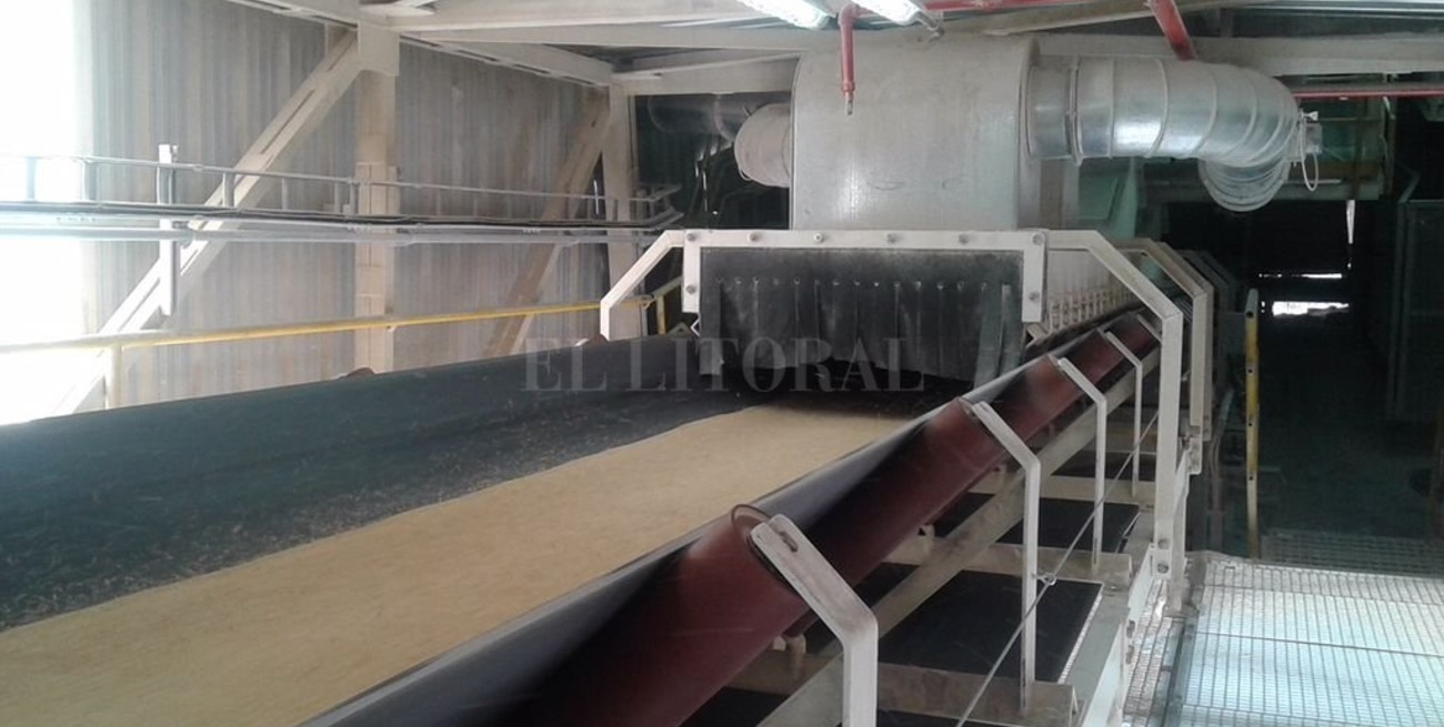 Fuerte inversión en San Lorenzo