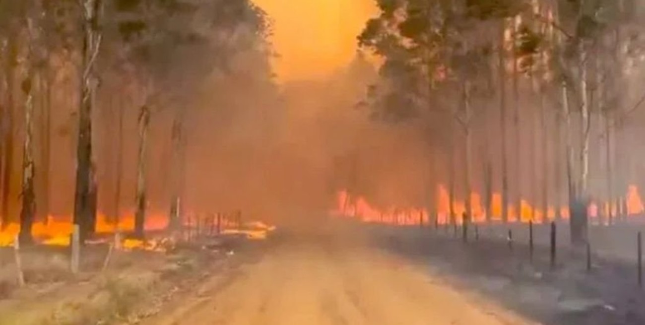 Bancos lanzan créditos especiales para los afectados por los incendios en Corrientes
