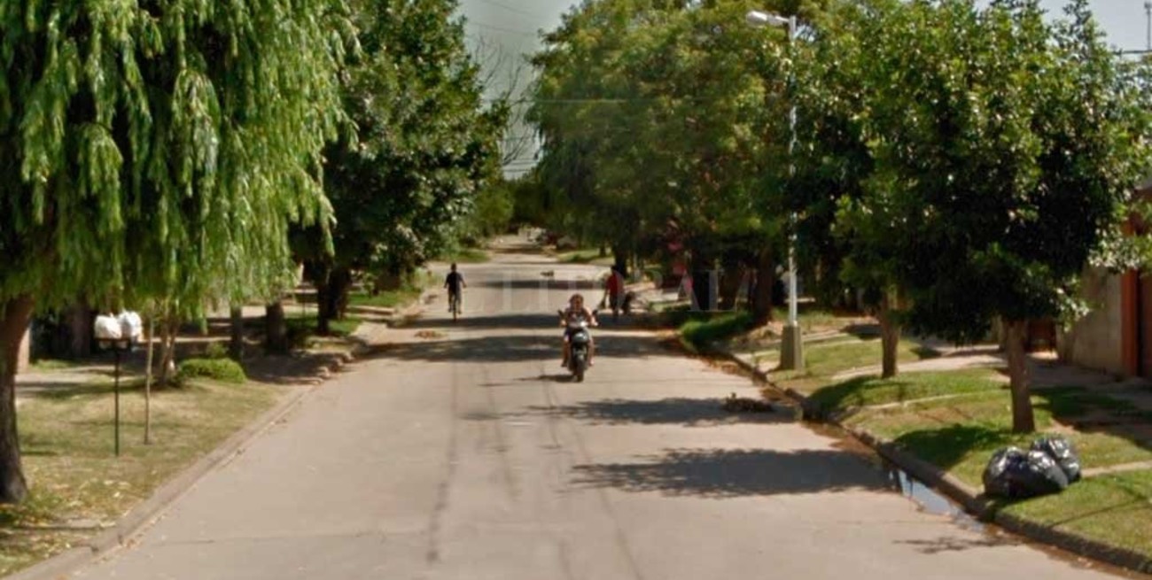 Podaba un árbol en barrio Guadalupe Oeste, cayó y murió