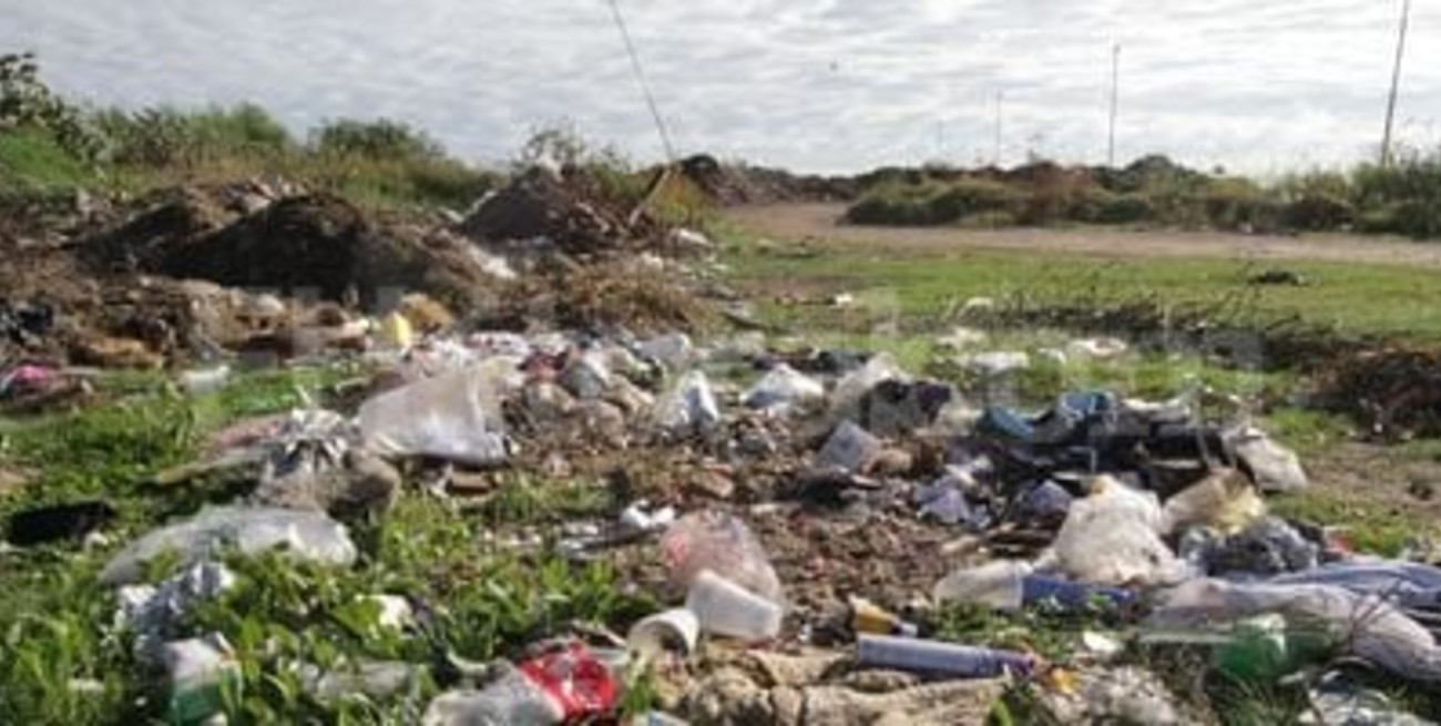 El municipio clausuró el predio de Mallozzi SA en Playa Norte