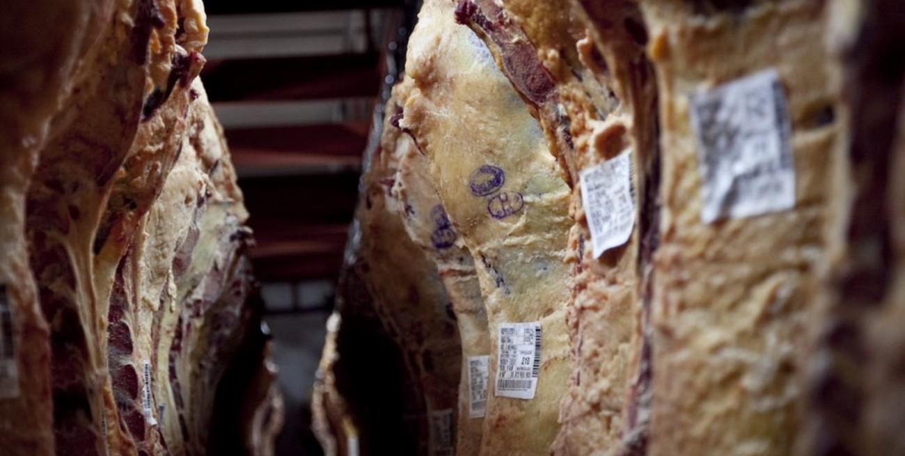 Aprueban el nuevo sistema de tipificación de carne bovina 