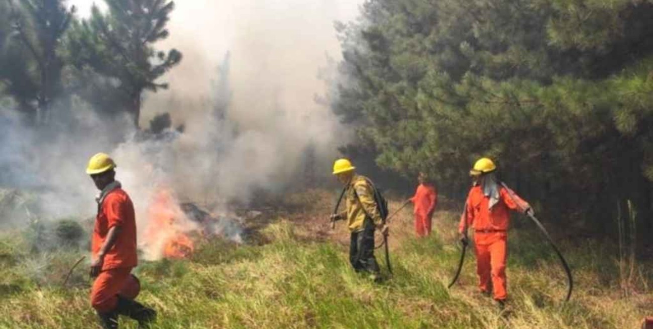 El gobernador de Corrientes declaró el estado de desastre agropecuario por los incendios rurales