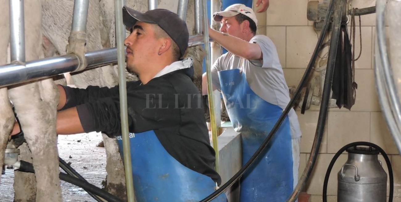  Momento definitorio para la lechería