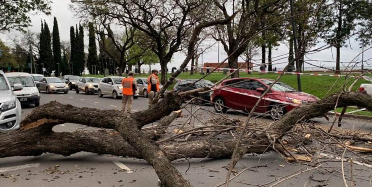 Vientos fuertes y destrozos en Rosario