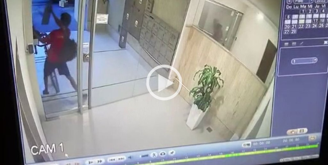 Video: vandalizó y robó el portero eléctrico de un edificio céntrico de Santa Fe