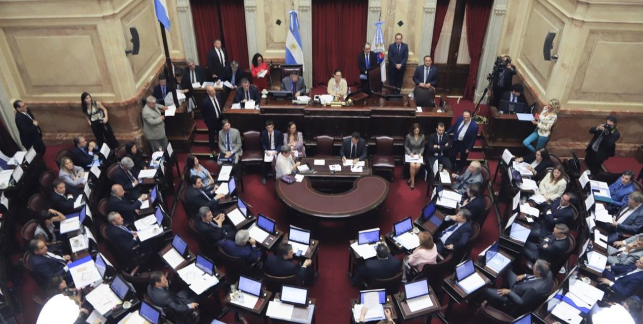 Solicitaron una sesión extraordinaria en Senado para "repudiar el golpe" contra Evo Morales