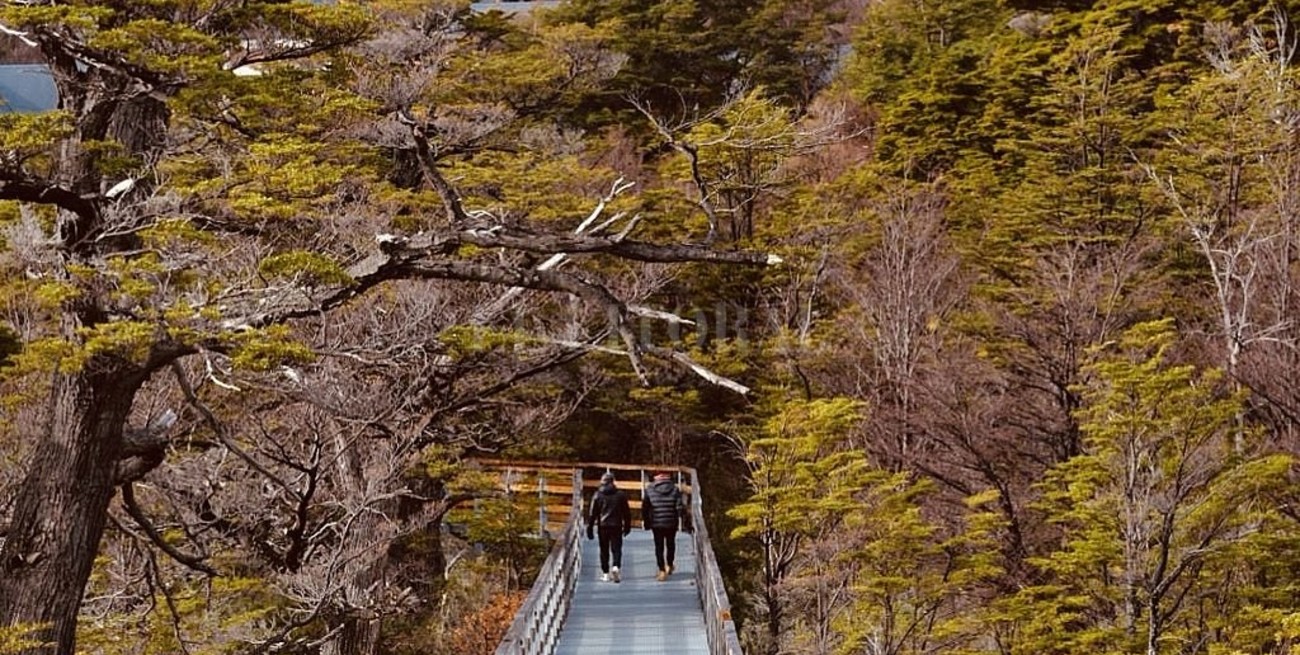 Línea directa: reconstruir el Cabildo, falta de control, pozos y otros mensajes