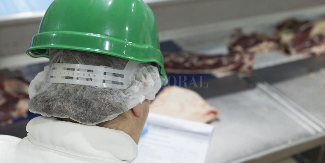 Será obligatorio el cierre de DT-e en plantas de faena