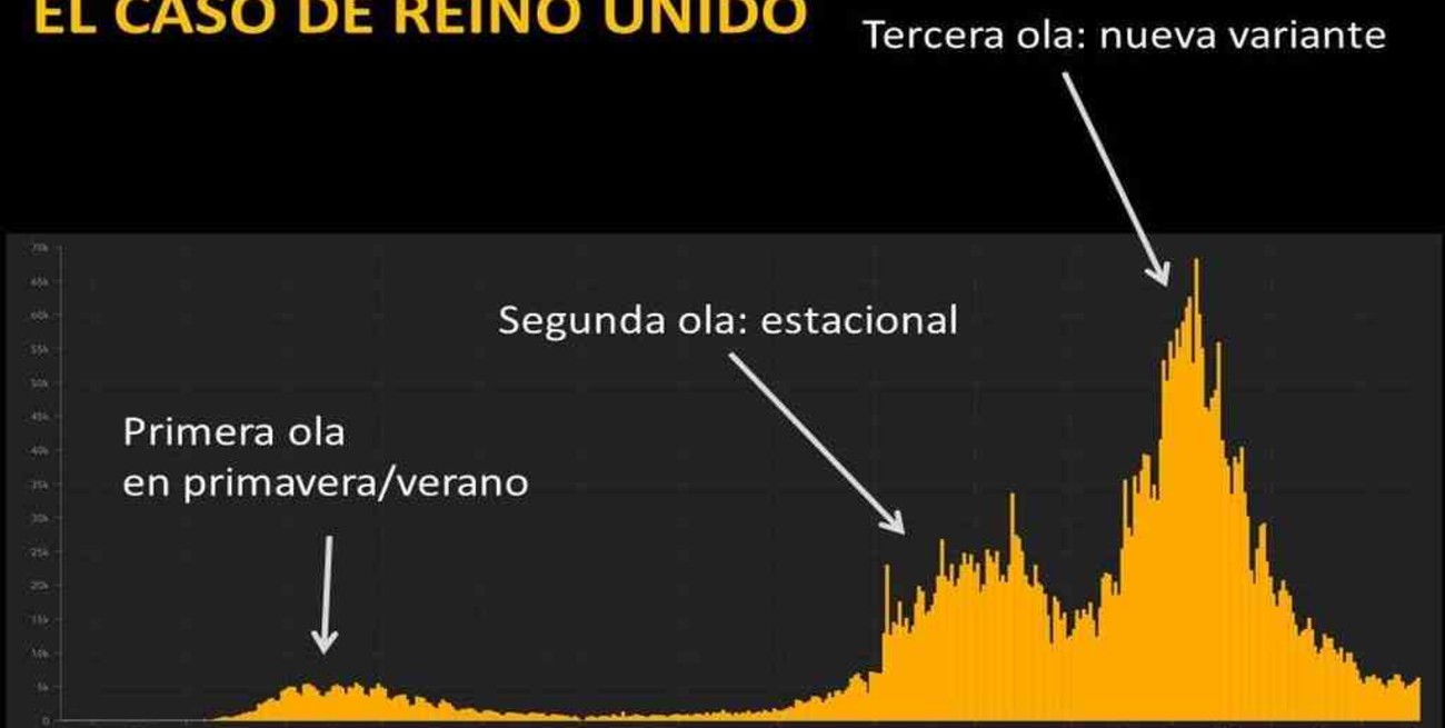 Covid 19: receta para una nueva ola