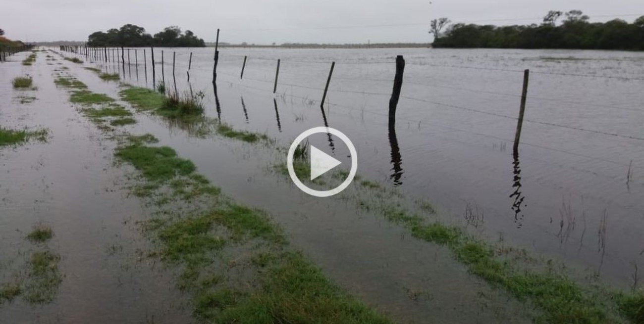 Desesperado pedido de ayuda por la inundación en el norte santafesino