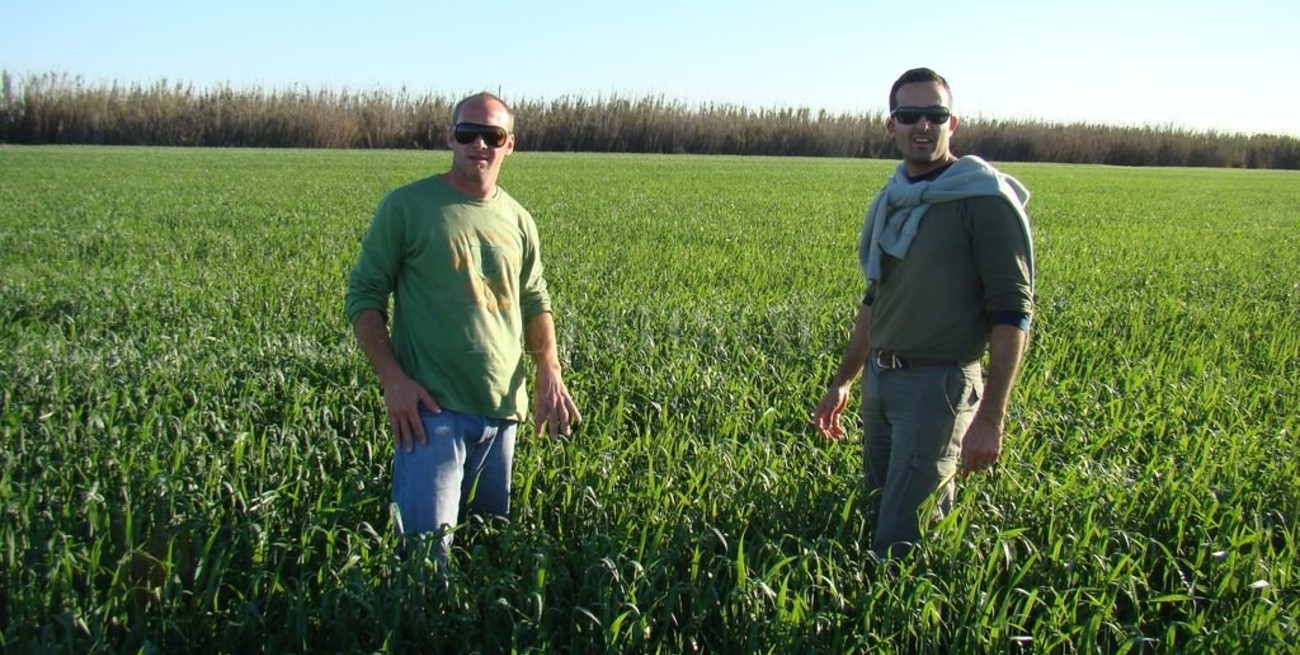 Agricultura a prueba de todo