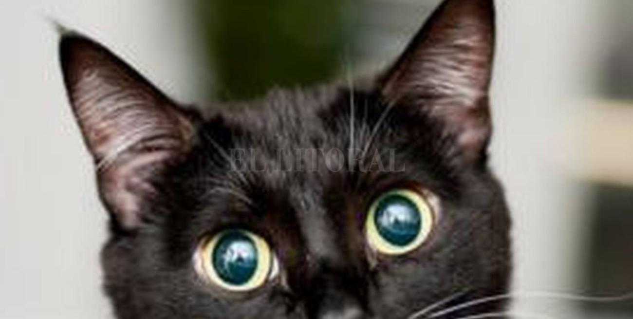 El nuevo desafío viral para resolver antes de los 18 segundos