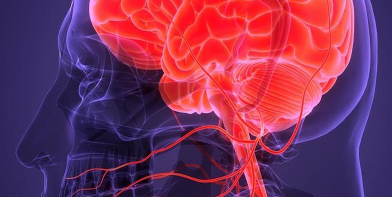 Descubren que antes de morir el cerebro humano desata un "recuerdo de la vida" 