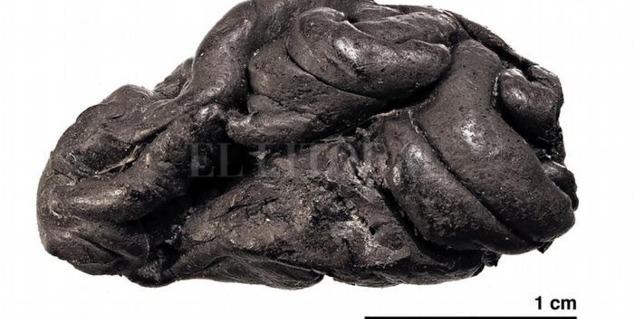 Hallan ADN humano en un "chicle" prehistórico